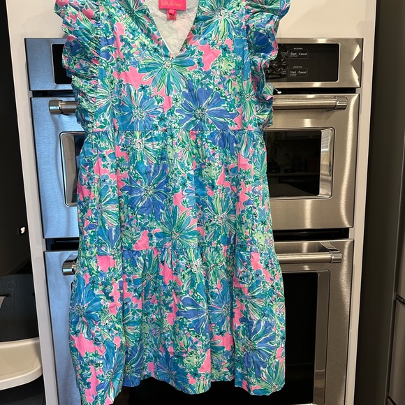 Lilly Pulitzer dress - Picture 4 of 7